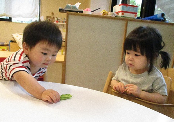 photo10